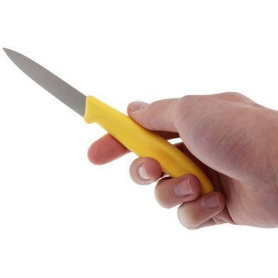 Кухонний набір Victorinox SwissClassic Paring Set, 2 предмети (Vx67606.L118B)