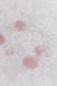 Скатерть непромокающая Кружева на белом 180х136см