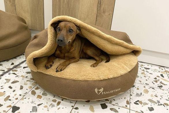 Лежак для Собак и Котов Lounge Honey с капюшоном M диаметр 80см