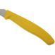 Кухонний набір Victorinox SwissClassic Paring Set, 2 предмети (Vx67606.L118B)
