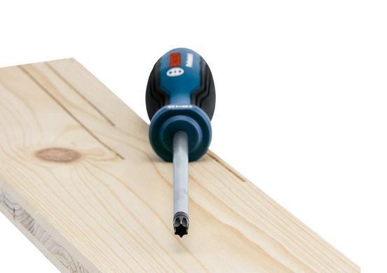Набір викруток 6 шт. TX (1600A01V09) Bosch
