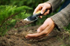 Совок для розсади Fiskars Premium Planters (1000727)