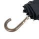 Парасолька-тростина жіноча механічна Fulton Hampstead-1 L893 Black (Чорний)