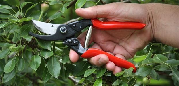 Садовий секатор FELCO 5 (Felco5)