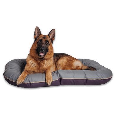 Лежак для собак Ponton Grape XL 120х80х20см