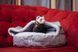 Лежак для собак и котов Lounge Lord Gray 45x45х9см
