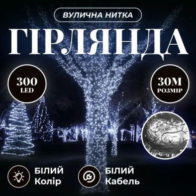 Гірлянда Нитка вулична 30 м 300 LED білий провід Білий CF300L30MWW