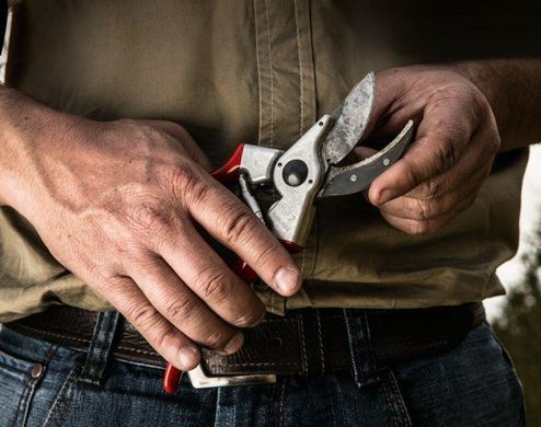 Садовий секатор FELCO 2 (Felco2)