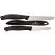 Кухонний набір Victorinox SwissClassic Paring Set With Peeler, 3 предмети (Vx67113.31)
