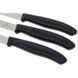 Кухонний набір Victorinox SwissClassic Paring Set, 3 предмети (Vx67113.3G)