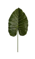 Штучне листя Engard Taro темний 65 см (DW-36)