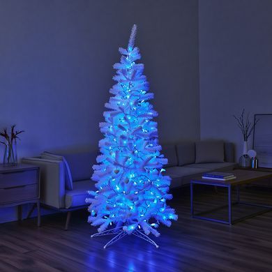 Гірлянда Різдвяна фея вулична 100 м 1000 LED білий провід Синій CF1000L100MWBL