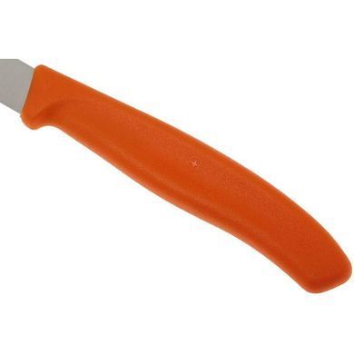 Кухонний набір Victorinox SwissClassic Paring Set, 2 предмети (Vx67606.L119B)