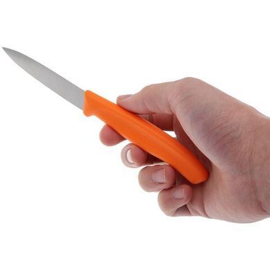 Кухонний набір Victorinox SwissClassic Paring Set, 2 предмети (Vx67606.L119B)