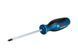 Викрутка PZ 2 x 125 (1600A01V08) Bosch