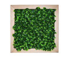 Фітокартина Engard "Соковите листя" 55х55 см (FP-11)