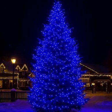 Гирлянда Рождественская фея уличная 50 (м) 500 LED черный провод Синий CF500L50MBBL
