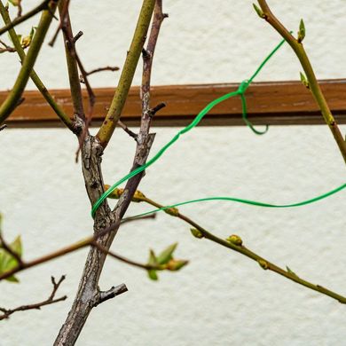 Verto Дріт садовий, ПВХ-оболонка, з обрізувачем, 0.15смх50м, зелений
