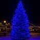 Гирлянда Рождественская фея уличная 50 (м) 500 LED черный провод Синий CF500L50MBBL