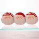 Блюдо сервировочное новогоднее для закусок Santa Claus 33.5&times;12.5 (см) из фарфора CR-1-33