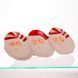 Блюдо сервировочное новогоднее для закусок Santa Claus 33.5&times;12.5 (см) из фарфора CR-1-33