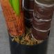 Штучна рослина Engard Taro 170 см (DW-06)