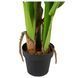 Штучна рослина Engard Banana Tree 140 см (DW-08)