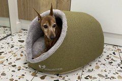 Будиночок для Кота або Собаки Cave Olive M 52x45x30см