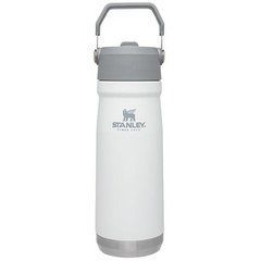ТЕРМОБУТИЛКА STANLEY GO ICEFLOW FLIP STRAW 0.65Л POLAR (6939236382731), Білий