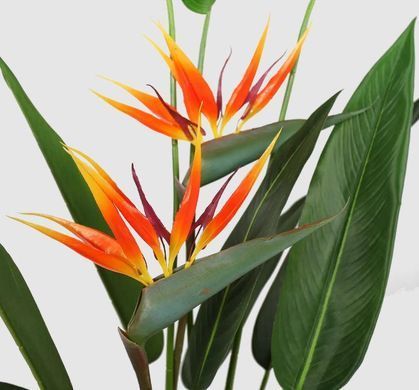 Штучна рослина Engard Strelitzia 140 см (DW-09)