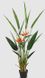 Штучна рослина Engard Strelitzia 140 см (DW-09)