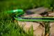 Cellfast Шланг садовий GREEN ATS 3/4", 25м, 5 шарів, до 30 Бар, -20…+60°C, Зелений