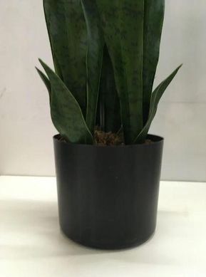 Штучна рослина Engard Sansevieria 65 см (DW-10)