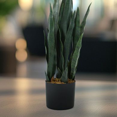 Штучна рослина Engard Sansevieria 65 см (DW-10)