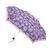 Парасоля жіноча механічна Fulton L926 Curio-2 UV Lilac (Бузковий)