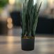 Штучна рослина Engard Sansevieria 65 см (DW-10)