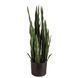 Штучна рослина Engard Sansevieria 65 см (DW-10)
