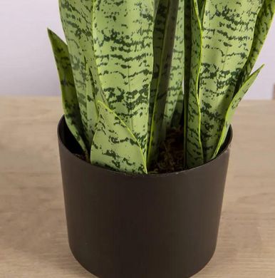 Искусственное растение Engard Sansevieria 65 см (DW-11)