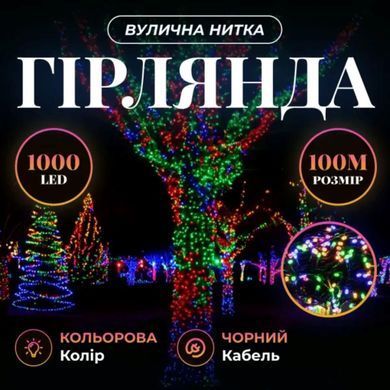 Гірлянда Різдвяна фея вулична 100 (м) 1000 LED чорний провід Мультиколір CF1000L100MBML