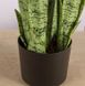 Штучна рослина Engard Sansevieria 65 см (DW-11)