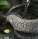 Фонтан декоративний Engard "Nature" 21х21х23 см (FT-06), серый