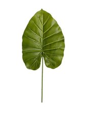 Штучне листя Engard Taro світлий 65 см (DW-37)
