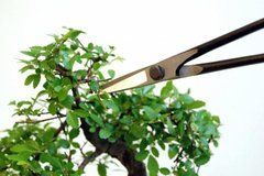 Ножиці Bonsai Okatsune KST 206