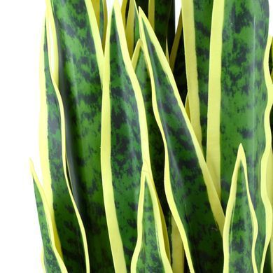 Штучна рослина Engard Sansevieria 92 см (DW-12)
