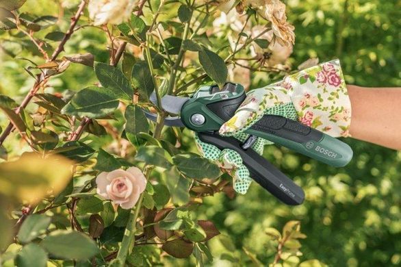 Секатор аккумуляторный Bosch EasyPrune New (06008B2100)