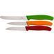 Кухонний набір Victorinox SwissClassic Paring Set, 3 предмети (Vx67116.32)