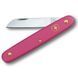 Ніж для саду Victorinox Floral Knife, 100мм/1функ/роз мат(блістер) (Vx39050.53B1)