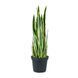 Штучна рослина Engard Sansevieria 92 см (DW-12)
