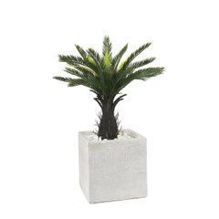 Штучна рослина Engard Fan Palm 60 см в кашпо (DW-2567-1)