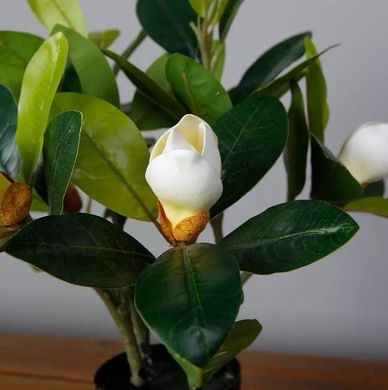 Штучна рослина Engard Magnolia 40 см (DW-16)